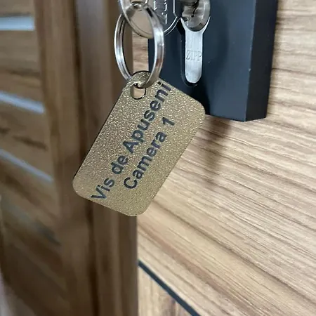 Farm stay Vis De Apuseni